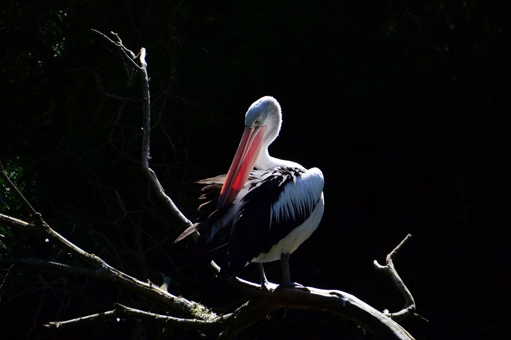 Photograph by Lola Vierse