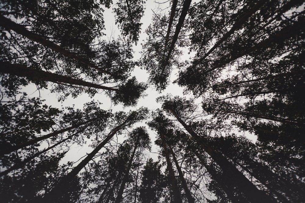 Photograph by Эдуард Туржанов