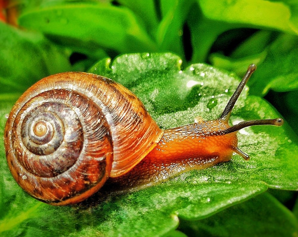 Photograph by Сергей Метлов