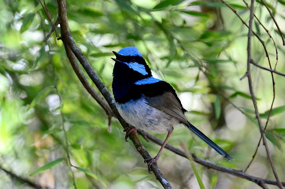 Photograph by Lola Vierse