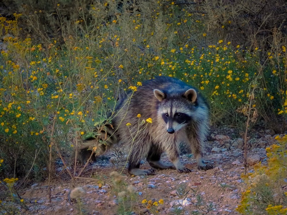 Photograph by Евгений Шварцман