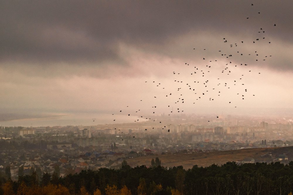 Близится осень