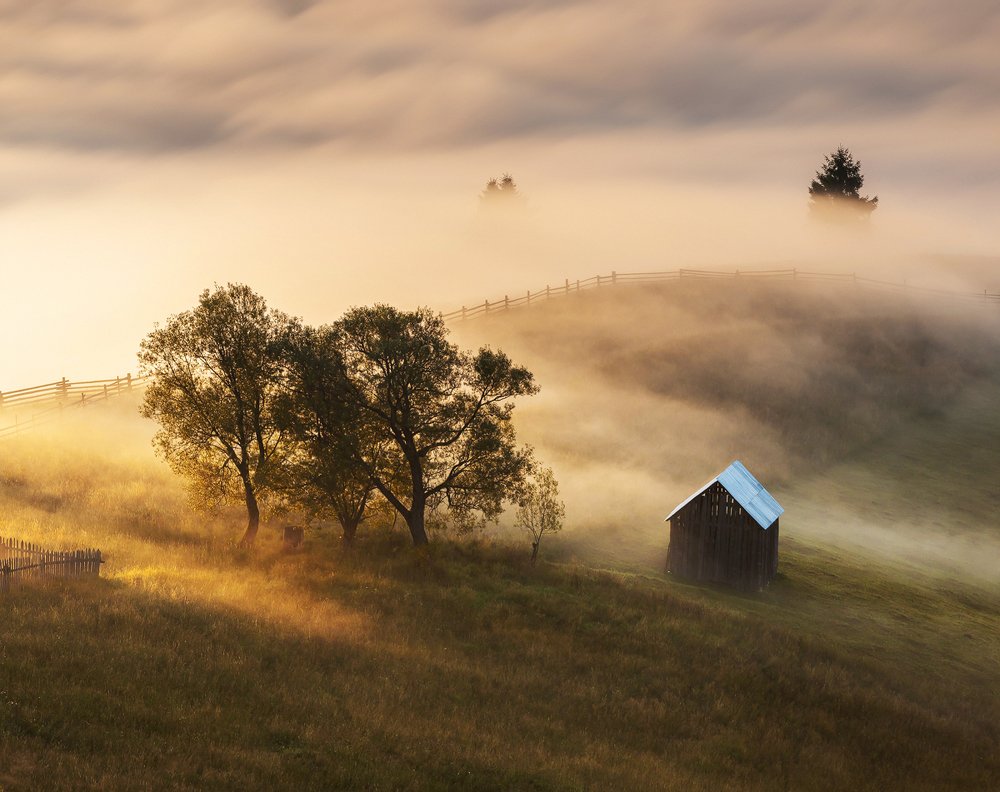 Photograph by Alex Coman