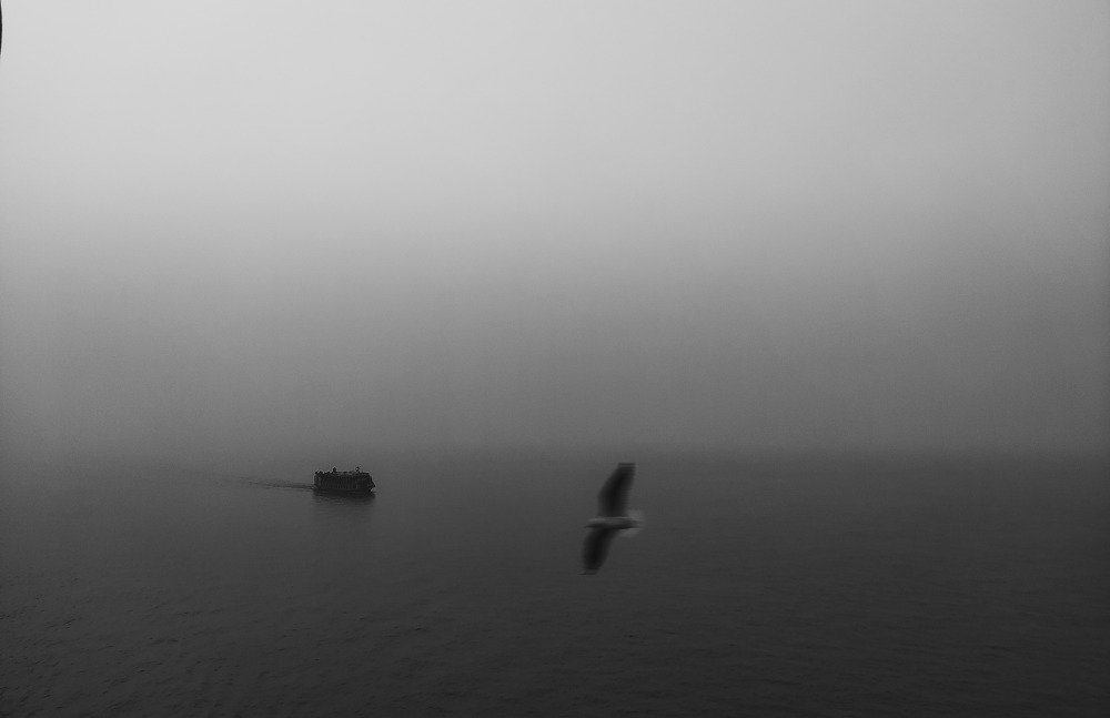 Photograph by Prokrety Prokrety