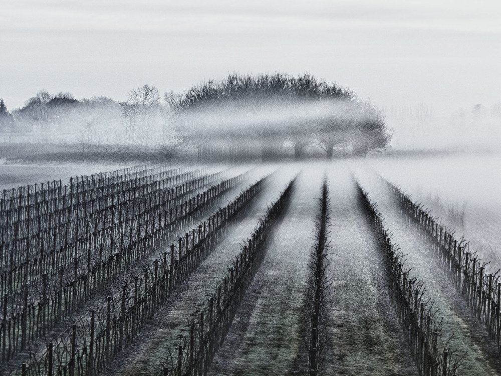 Photograph by Riccardo Moretti