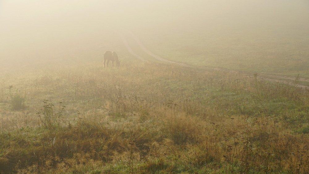 Photograph by Александр Потапов