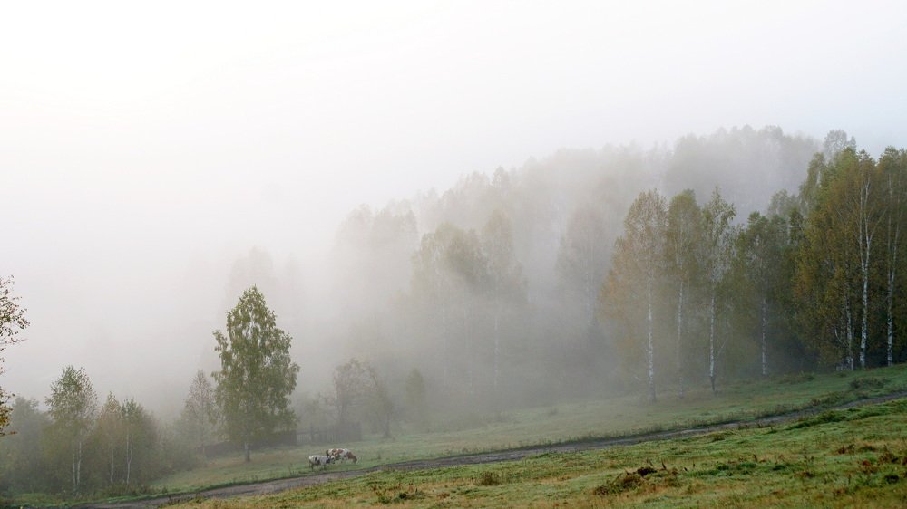 Photograph by Александр Потапов