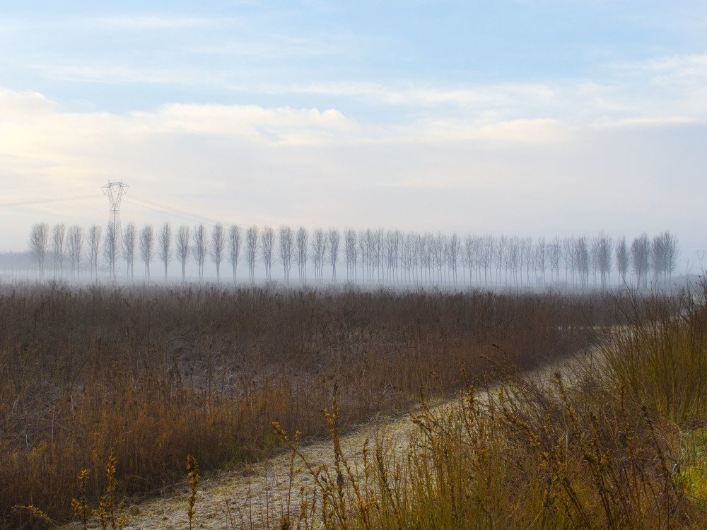 Photograph by Riccardo Moretti