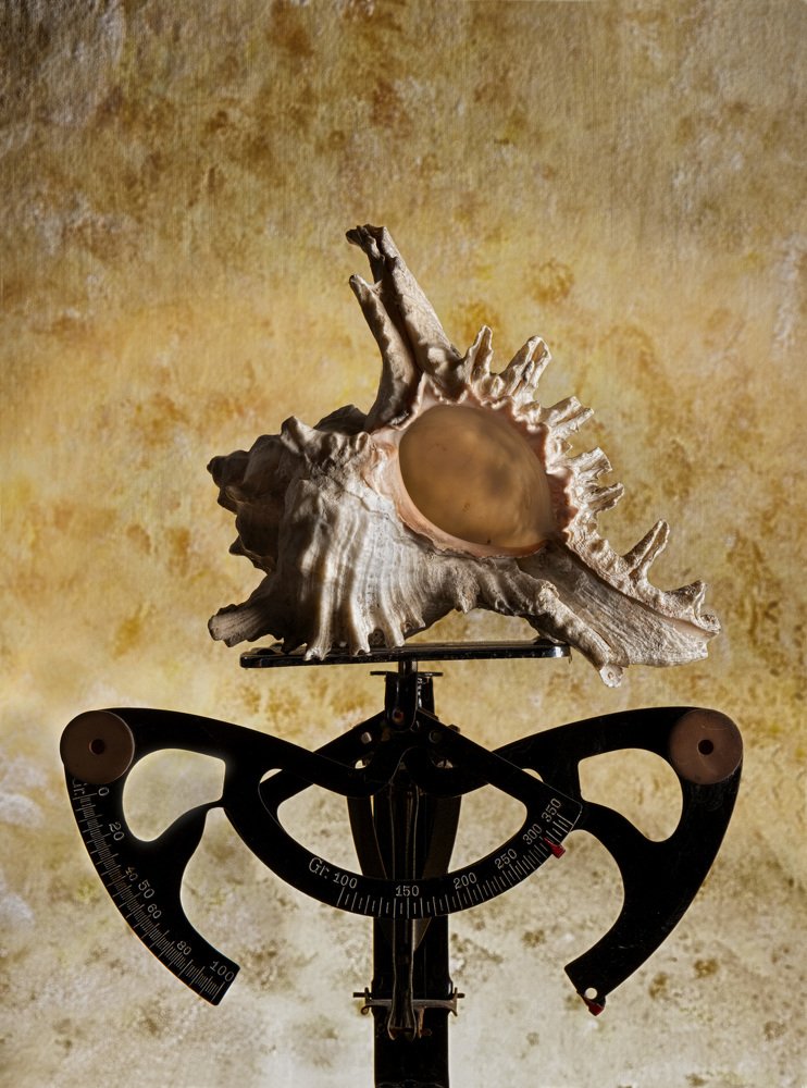 Photograph by Riccardo Moretti