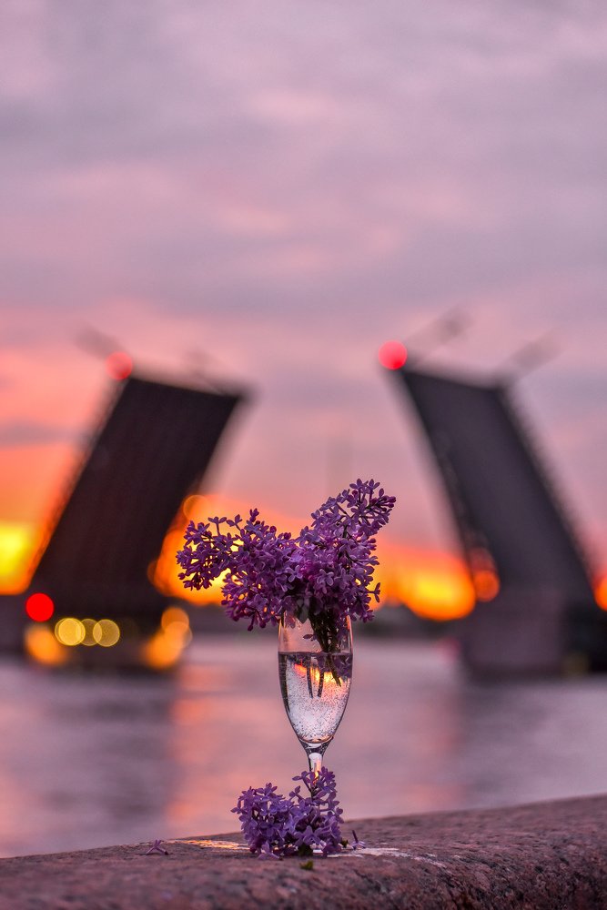 Сиреневое лето