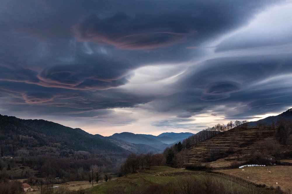 Photograph by Eriks Zilbalodis