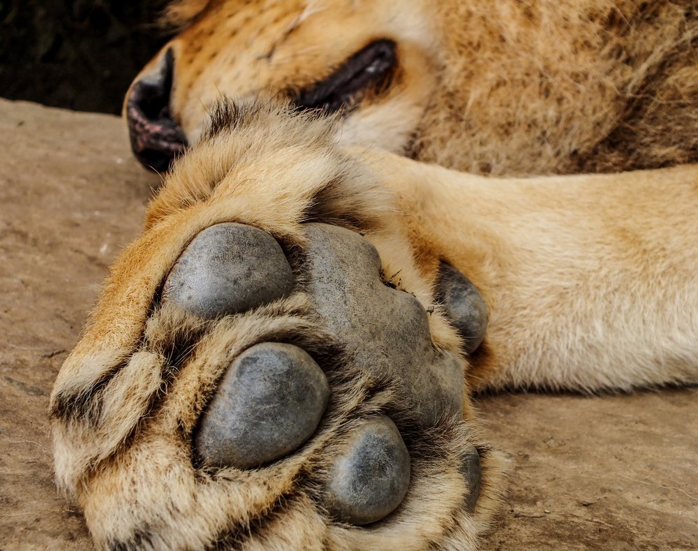 Photograph by Александрас Савицкис