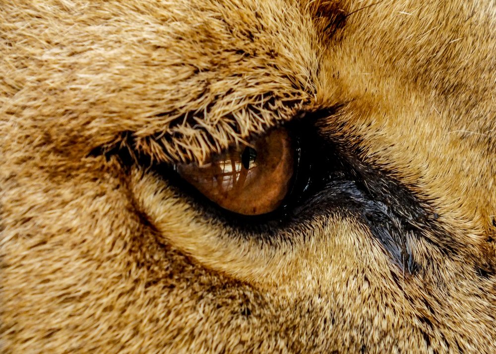 Photograph by Александрас Савицкис