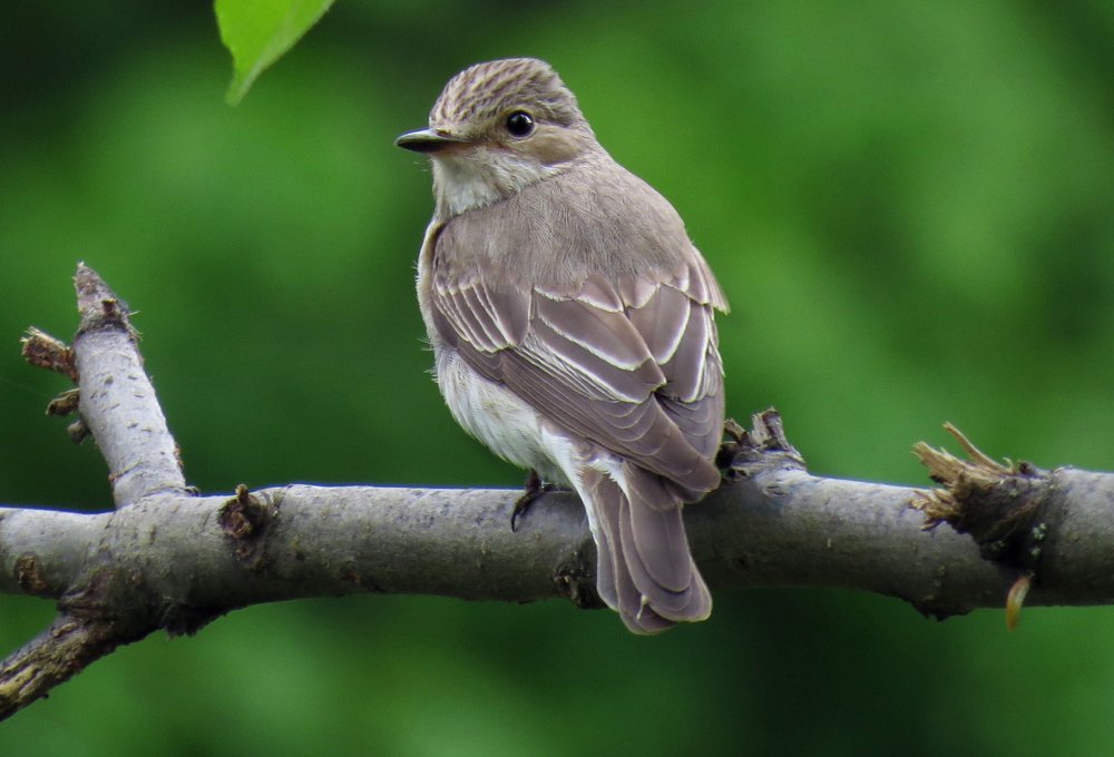 Photograph by Наталия Васильева