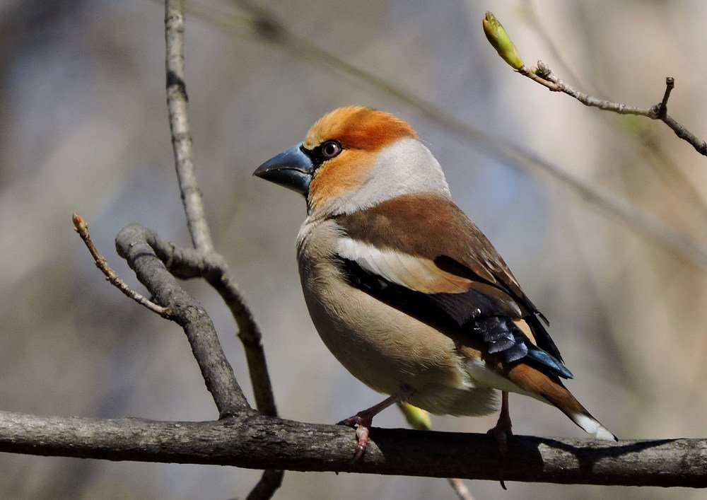 Photograph by Наталия Васильева