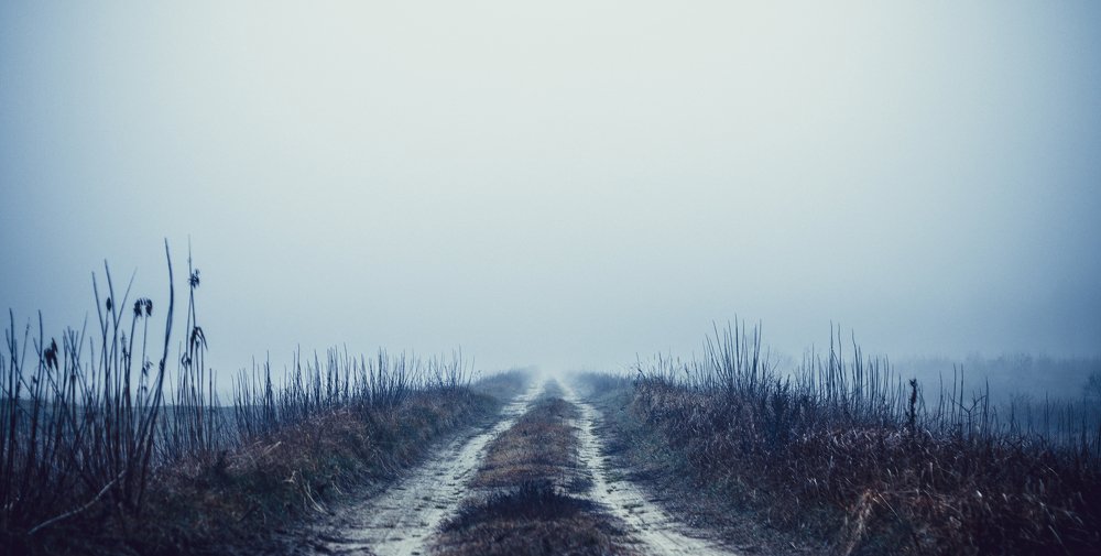 Photograph by Александрас Савицкис