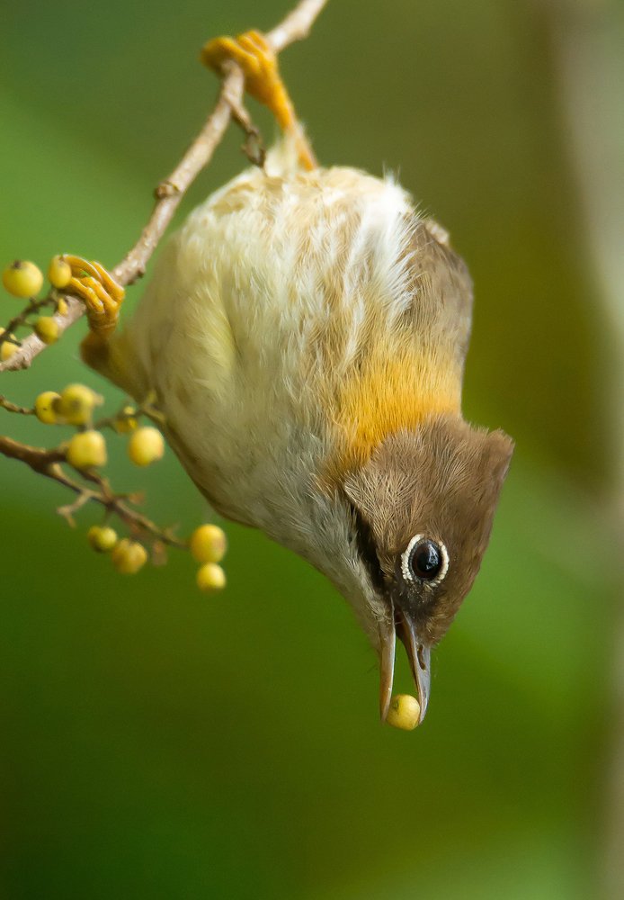 Photograph by SUBHABRATA HUI