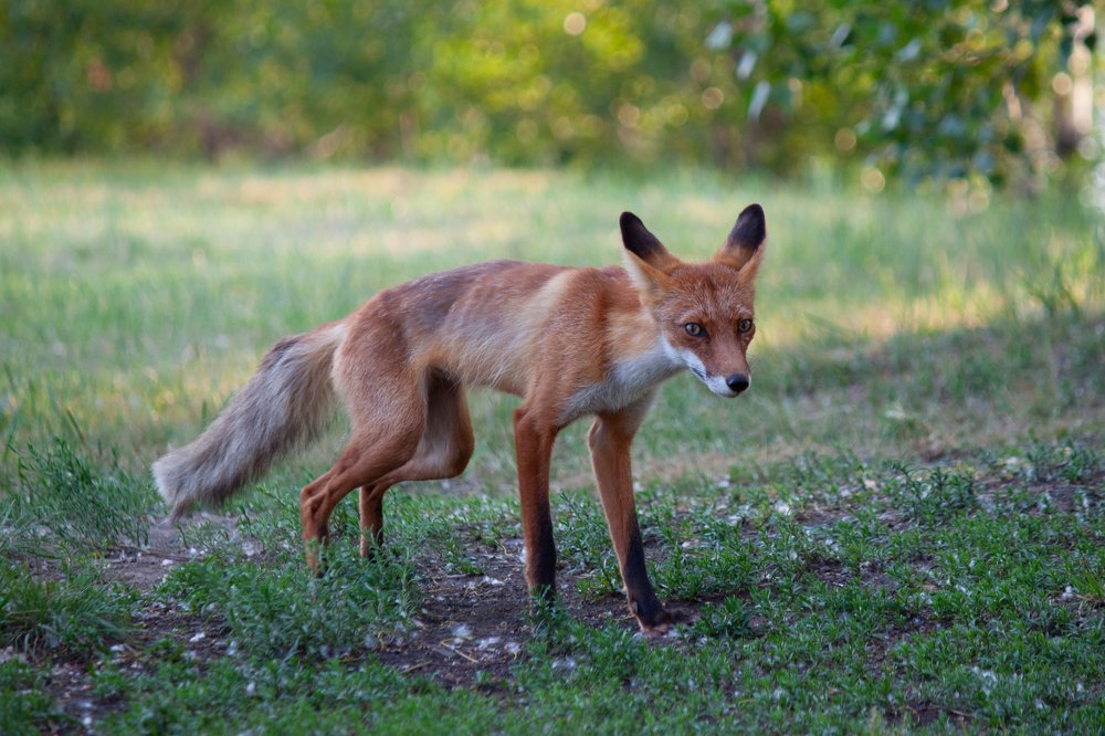Photograph by Оксана Корчагина
