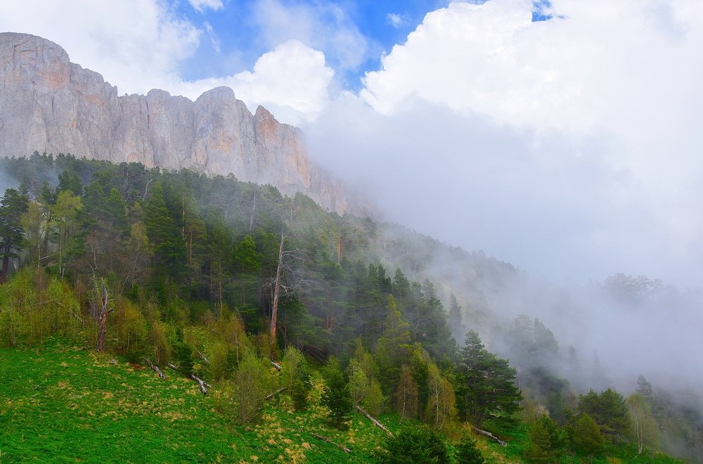 Photograph by Margo Margo