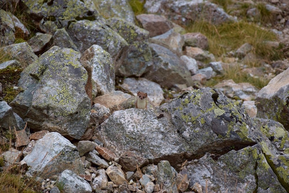 Photograph by Margo Margo