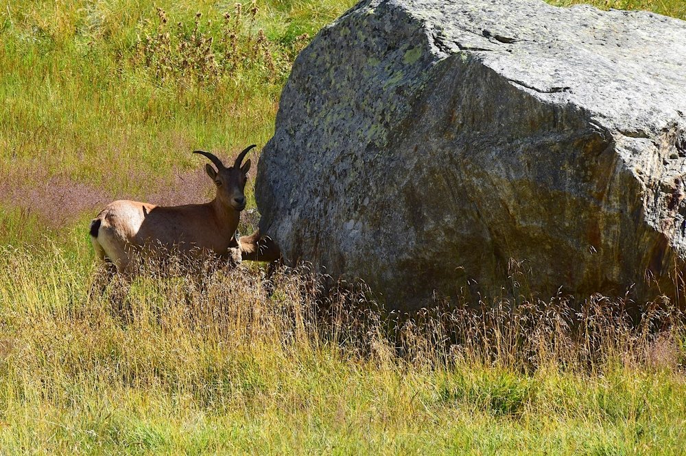 Photograph by Margo Margo