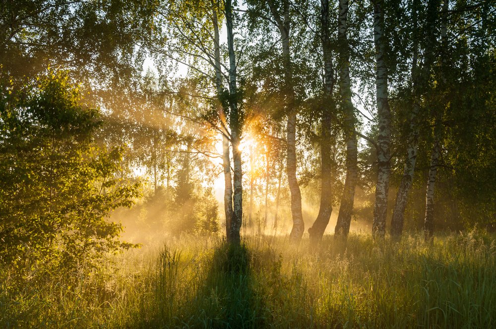 Photograph by Андрей Папанов