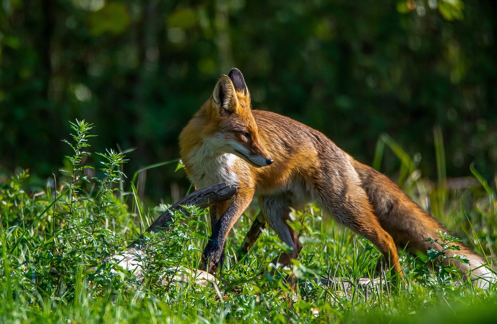 Photograph by Rafał Kowalik