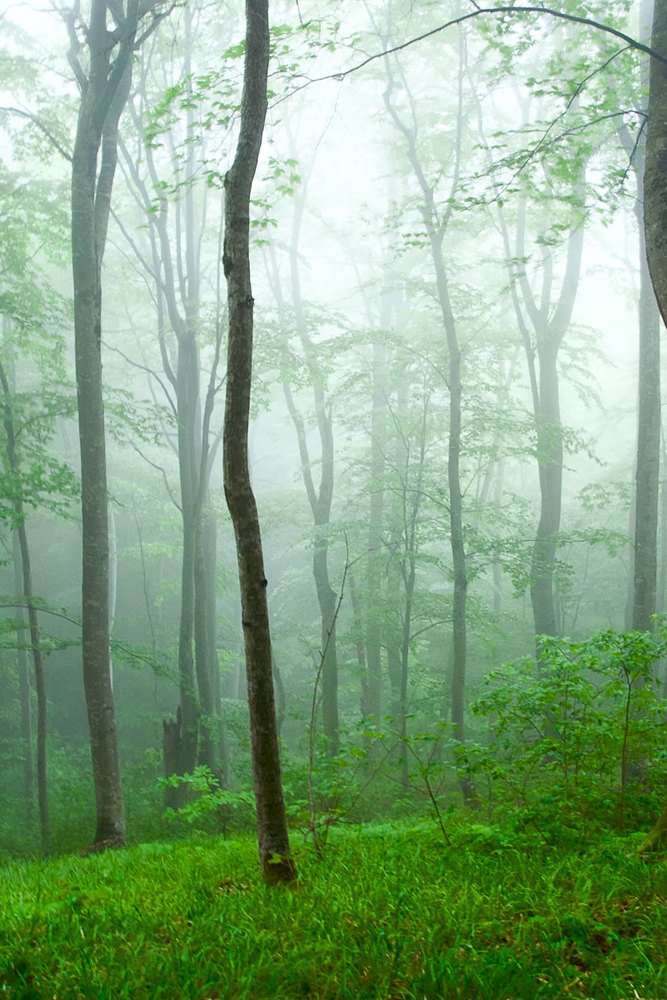 Photograph by Роман Приходько