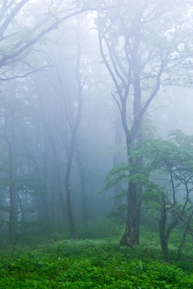 Photograph by Роман Приходько