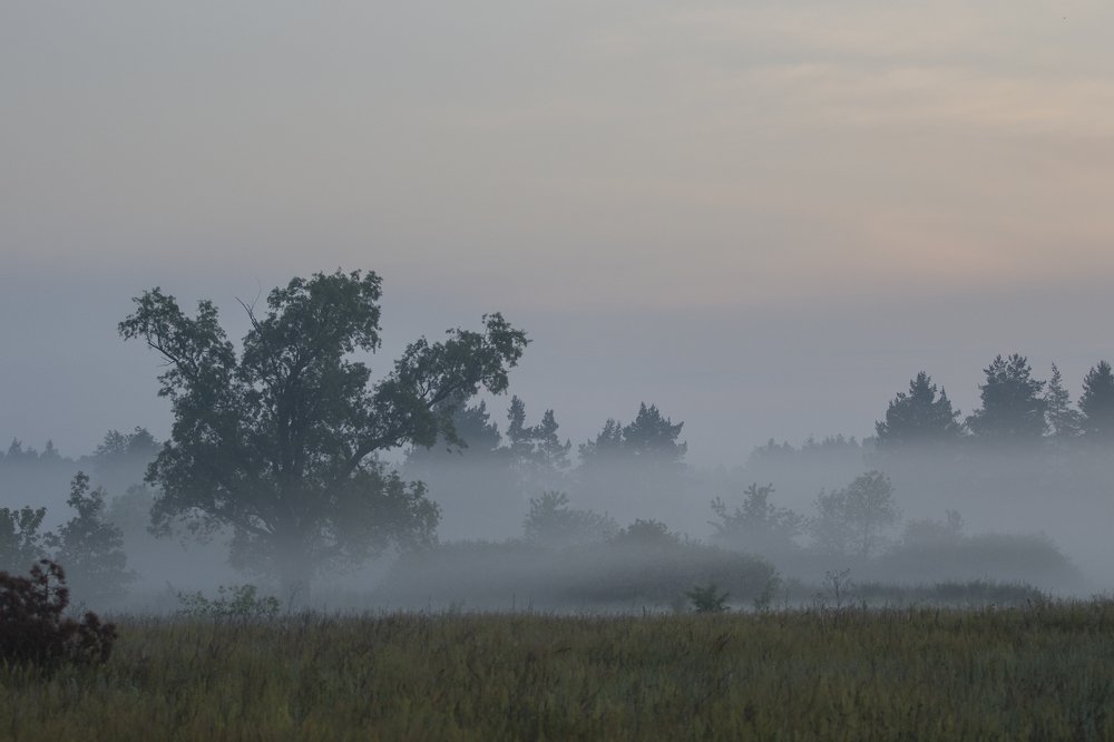Photograph by Сергей Алексеев