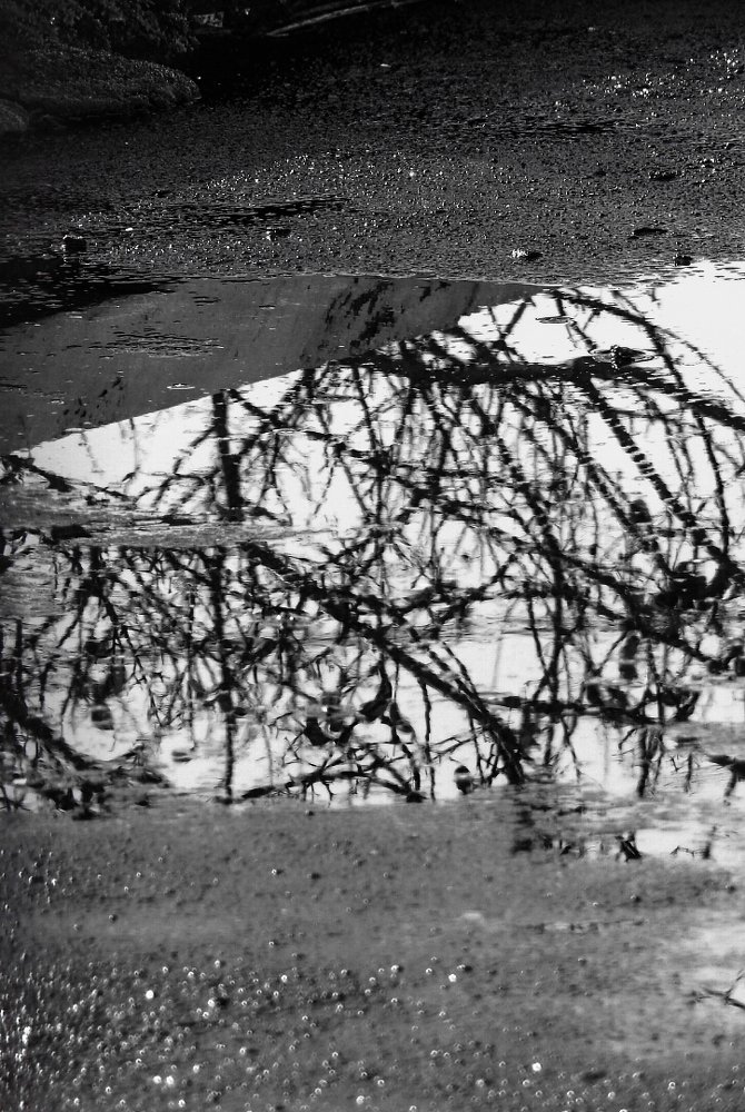 Photograph by Lia Pereira