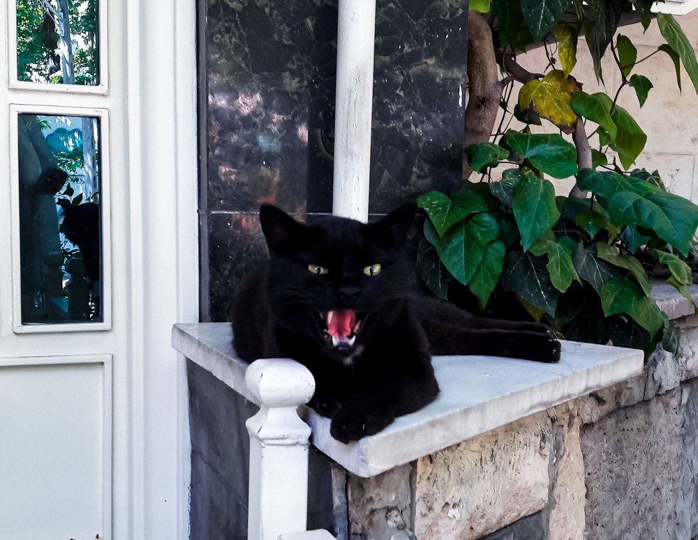 Photograph by Sina sadeghi