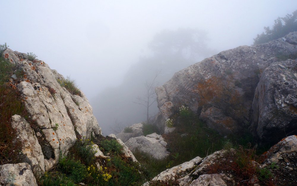 Photograph by Ольга Стоун