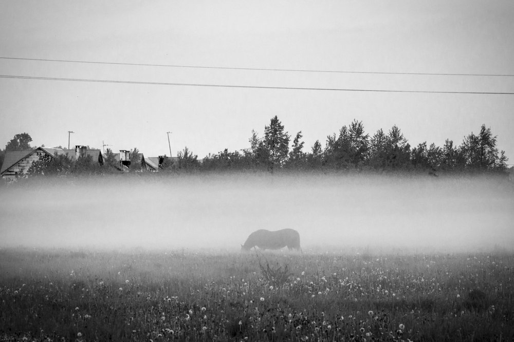 Photograph by Aliaksei Shandalin