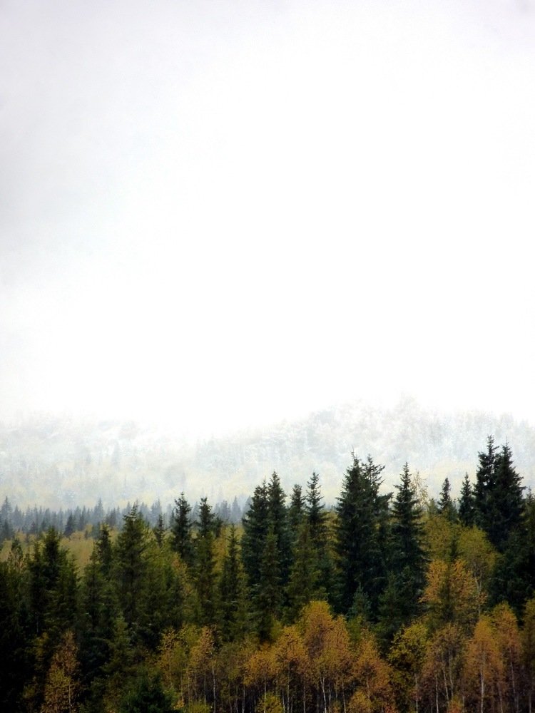 Photograph by Екатерина Вострякова