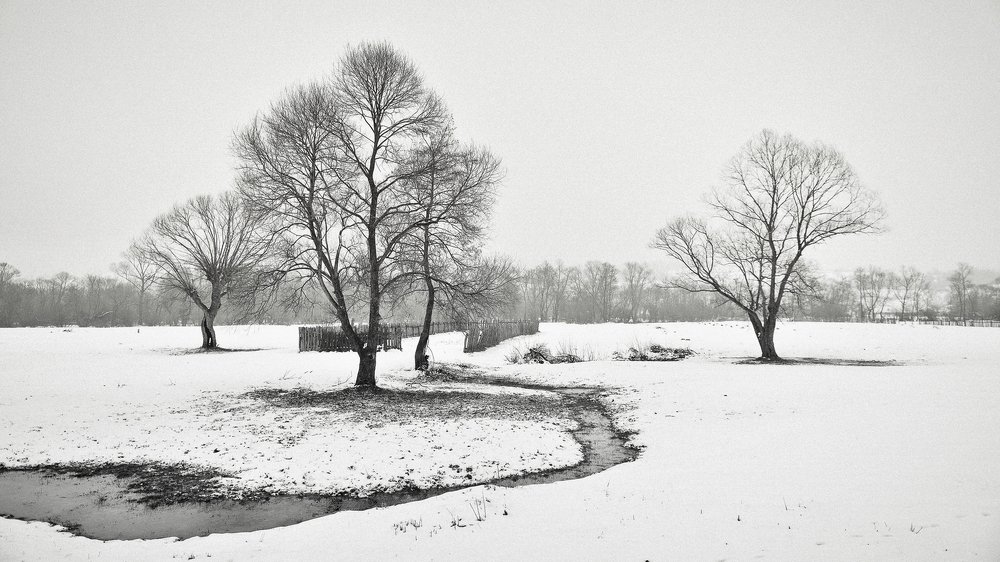 Wintertale in Romania