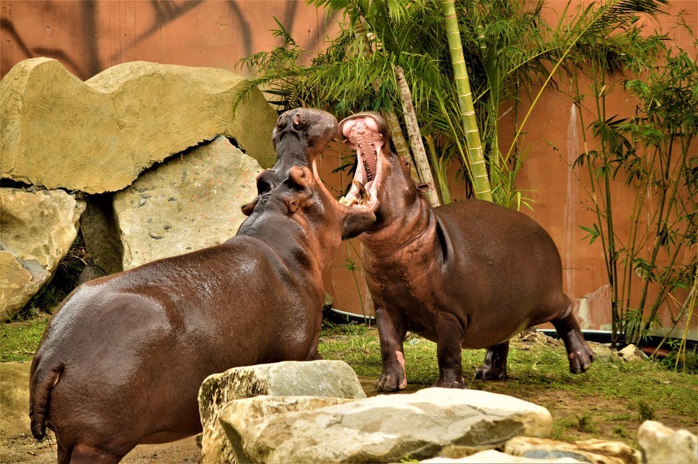 Фотография автора Борисова Мария
