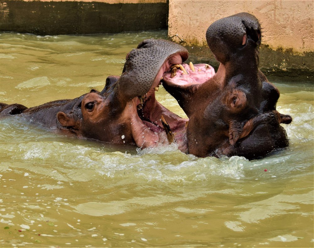 Фотография автора Борисова Мария