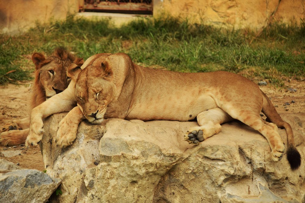 Фотография автора Борисова Мария