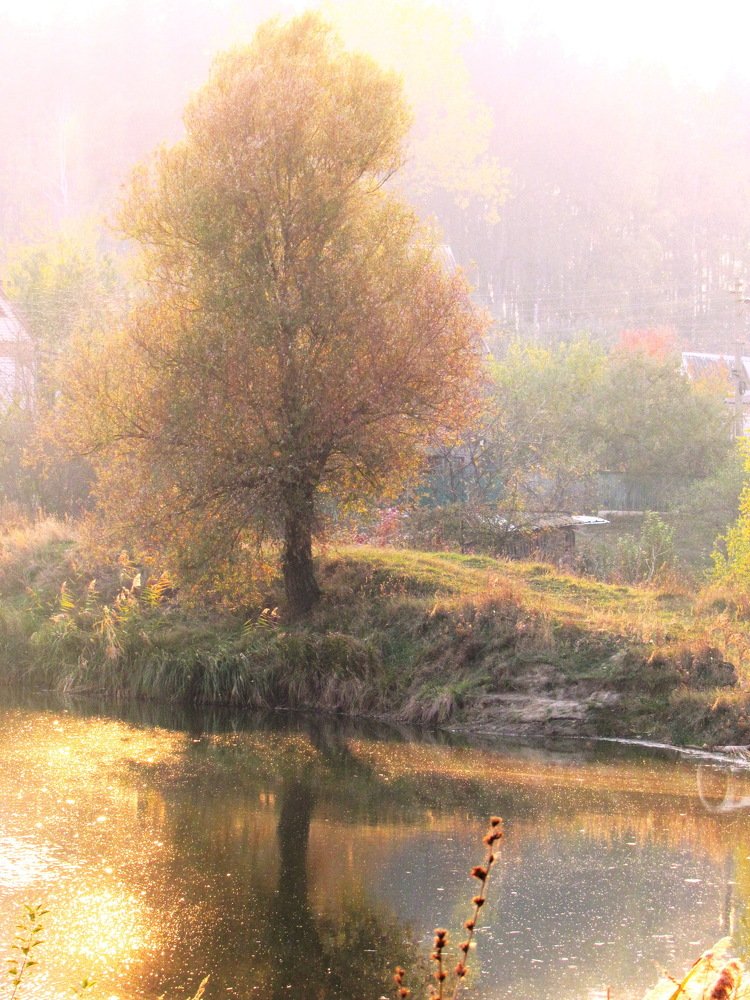 Photograph by Светлана Шмигельская