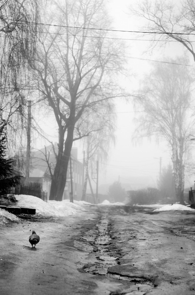 Photograph by Сергей