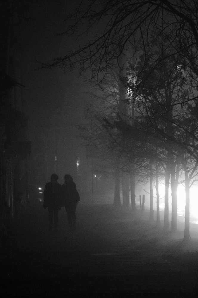 Photograph by Сергей