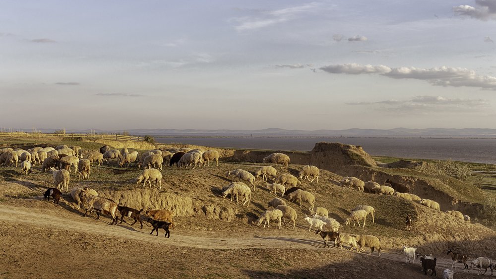 Photograph by Виктория Бурова