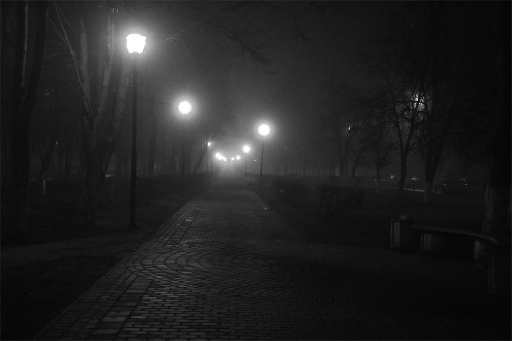 Photograph by Aleksandr Larionov