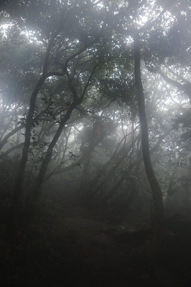 Photograph by Sahil Sanavulla