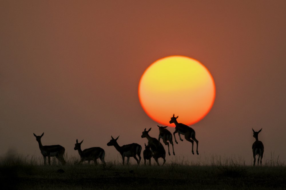 Sunsets are proof that endings can often be beautiful too