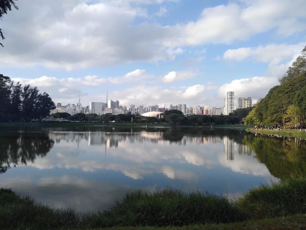 Photo #4655592