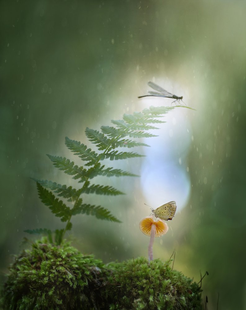 Photograph by Сергей Троицкий