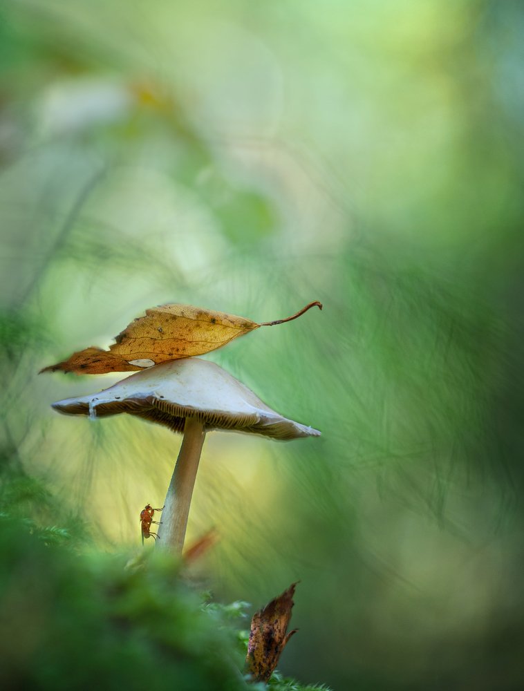 Photograph by Сергей Троицкий