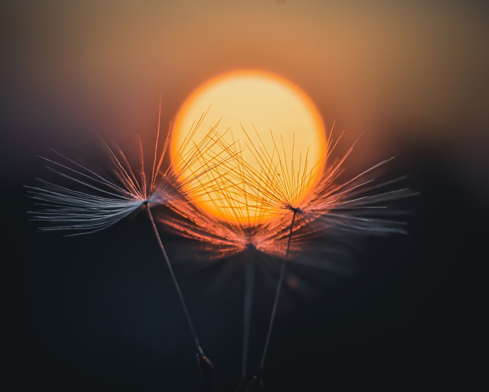 Photograph by Анатолий Жуков